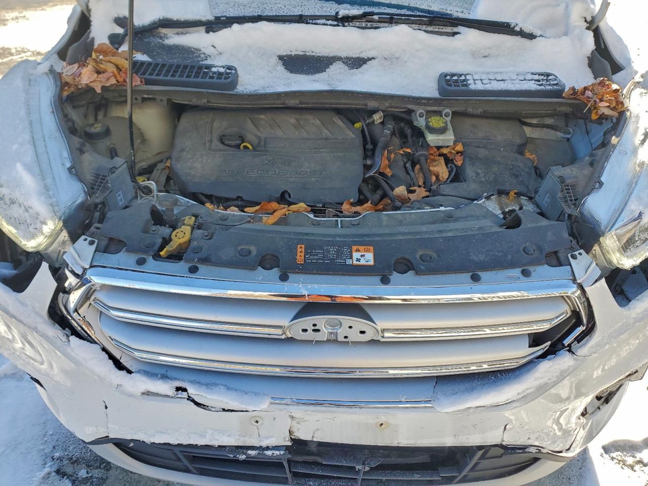 2017 FORD ESCAPE SE photo 23