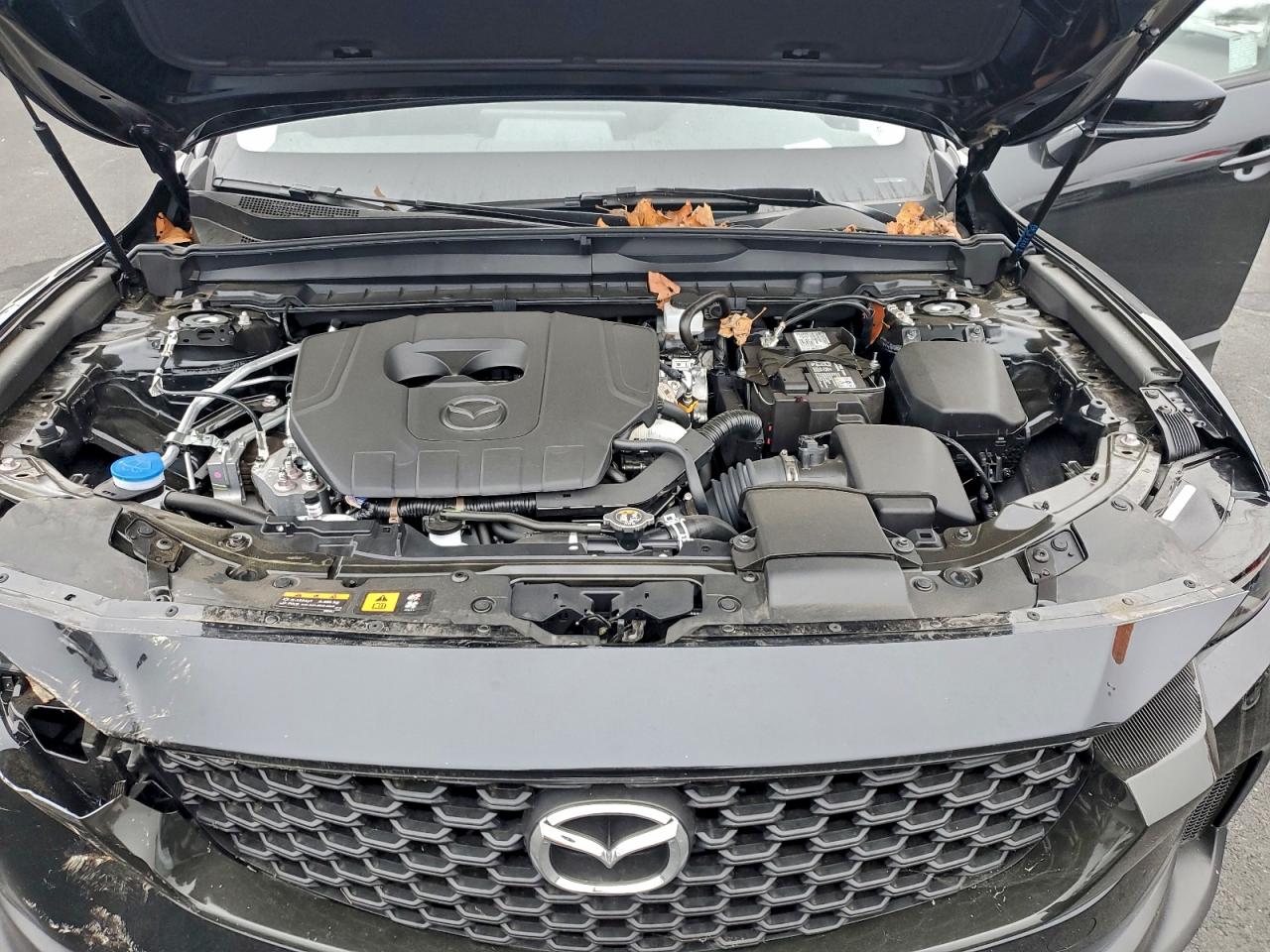 2025 MAZDA CX-50 SELECT photo 23