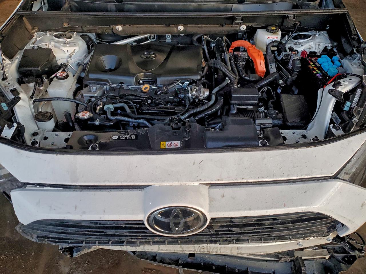 2025 TOYOTA RAV4 XLE photo 23