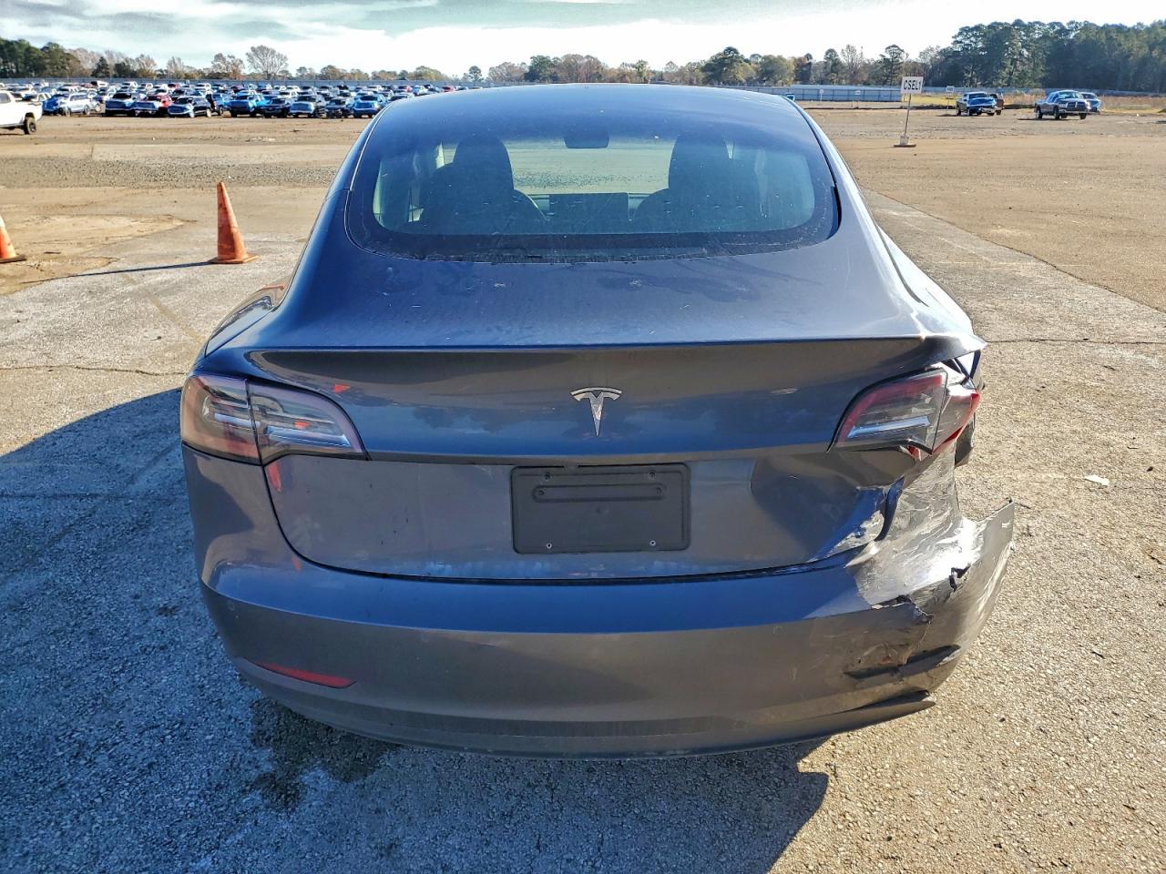 2020 TESLA MODEL 3 photo 6
