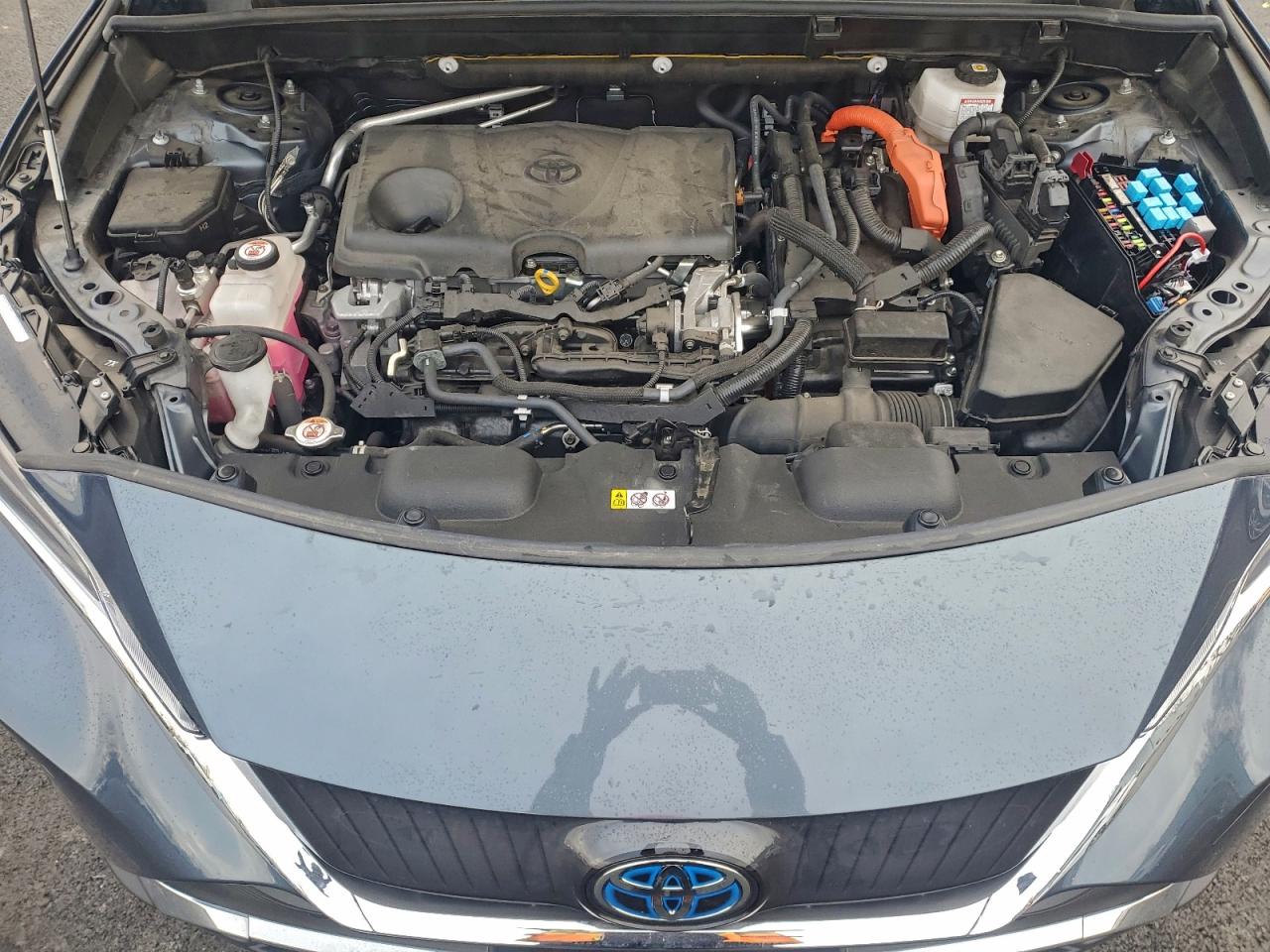 2021 TOYOTA VENZA LE photo 12