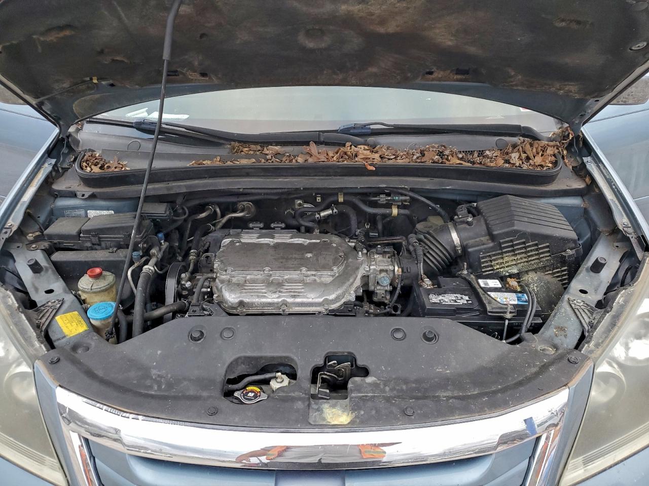 2010 HONDA ODYSSEY EXL photo 12