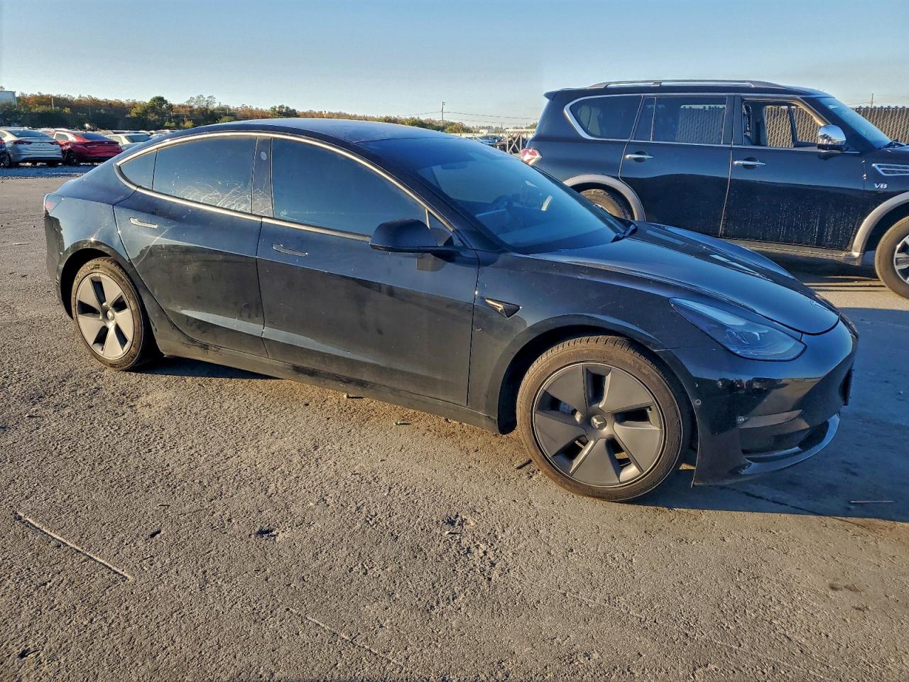 2021 TESLA MODEL 3 photo 10