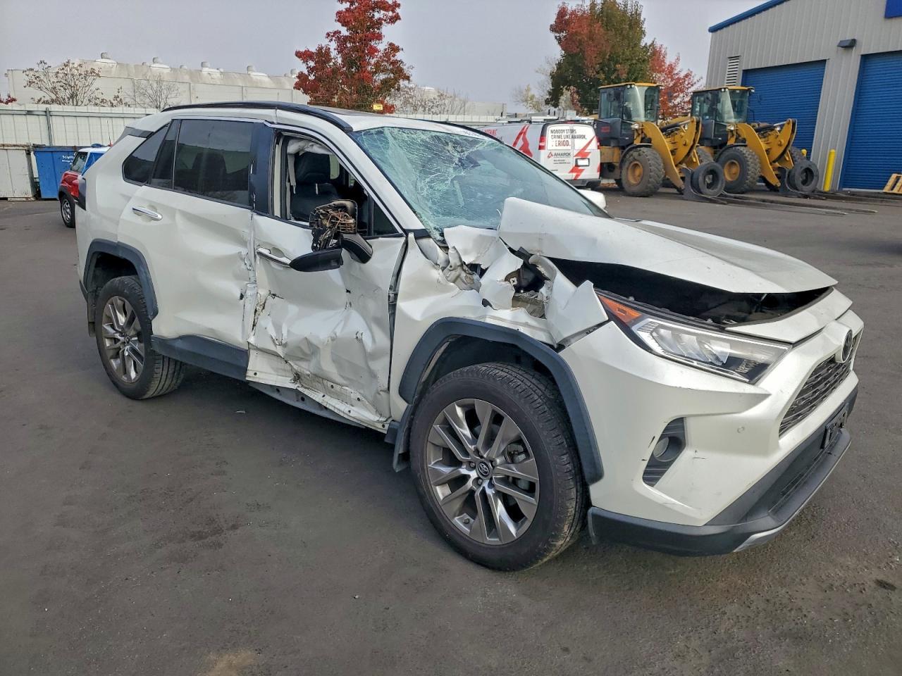 2019 TOYOTA RAV4 LIMITED photo 10