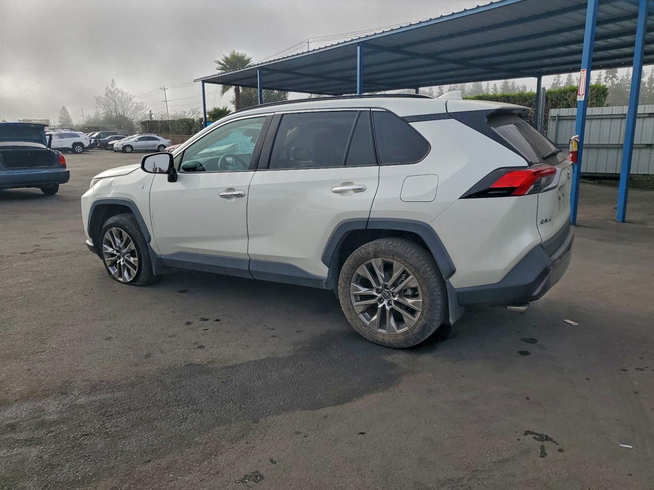 2019 TOYOTA RAV4 LIMITED photo 4