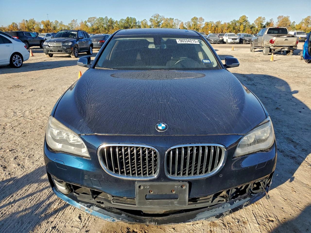 2013 BMW 750 LXI photo 5
