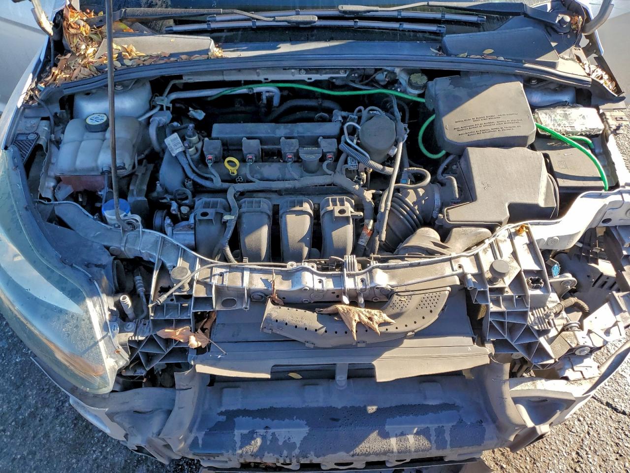 2014 FORD FOCUS SE photo 11