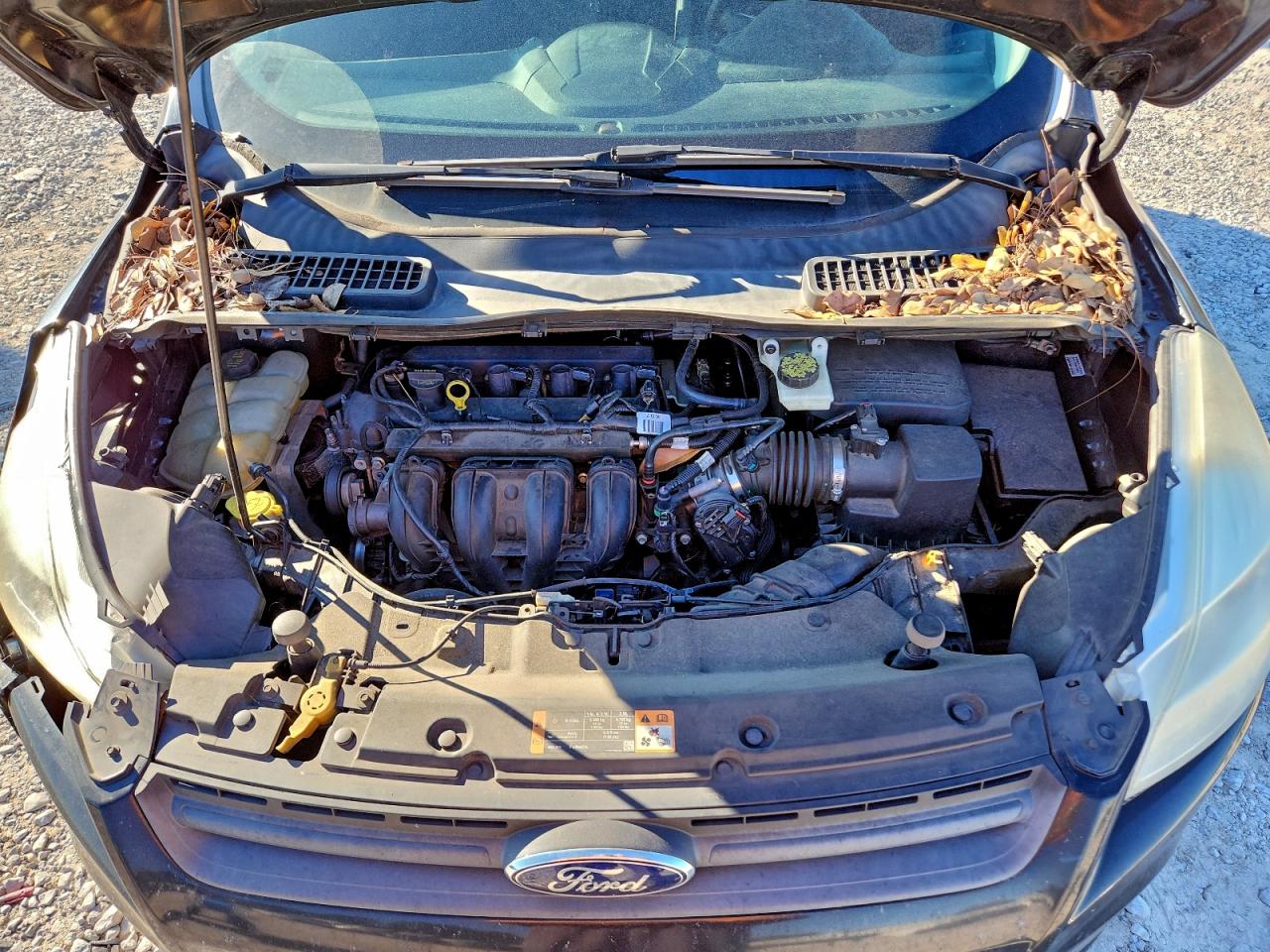 2014 FORD ESCAPE S photo 34