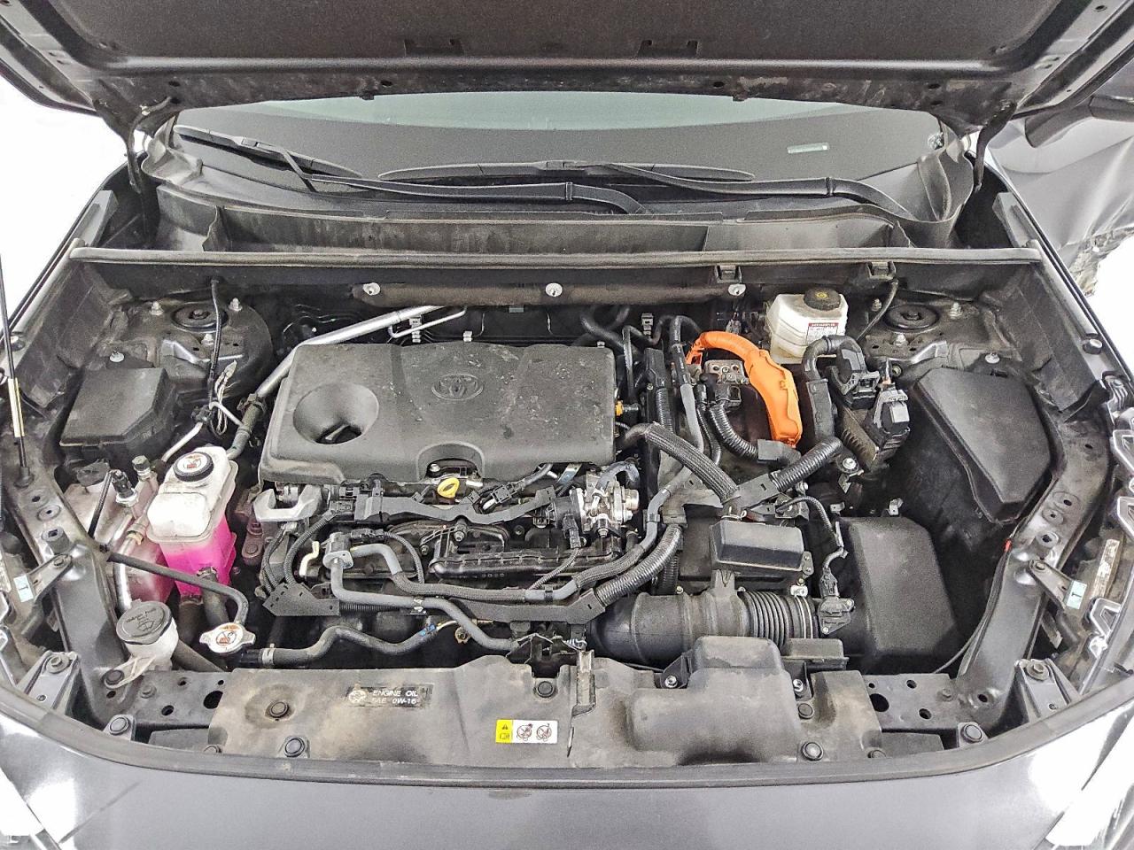 2024 TOYOTA RAV4 XLE PREMIUM photo 12