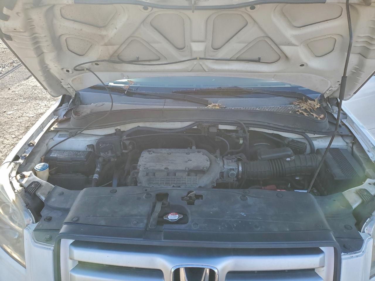2008 HONDA PILOT EXL photo 11