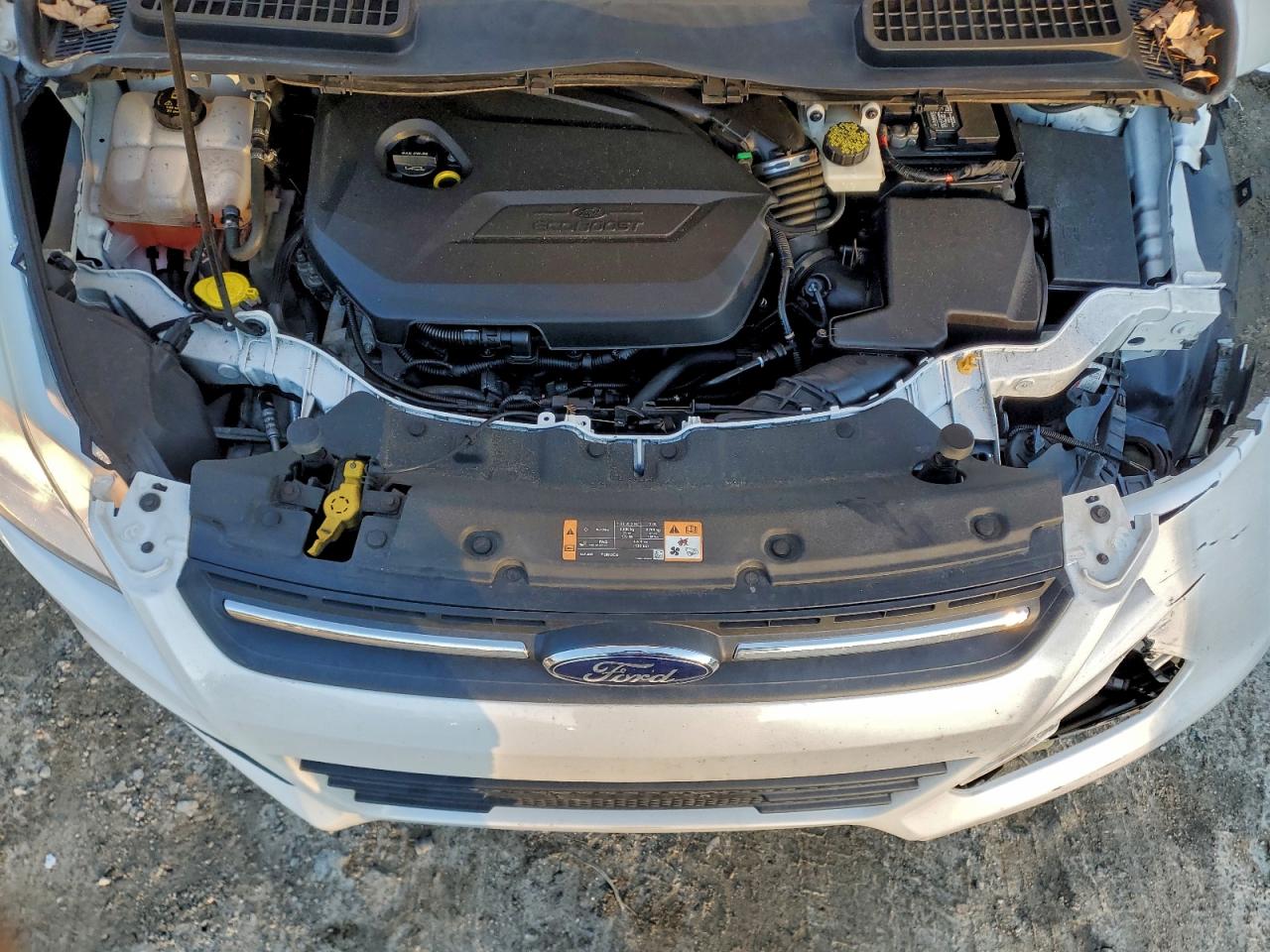 2014 FORD ESCAPE SE photo 12