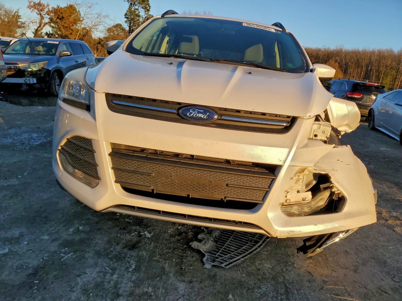 2014 FORD ESCAPE SE photo 5