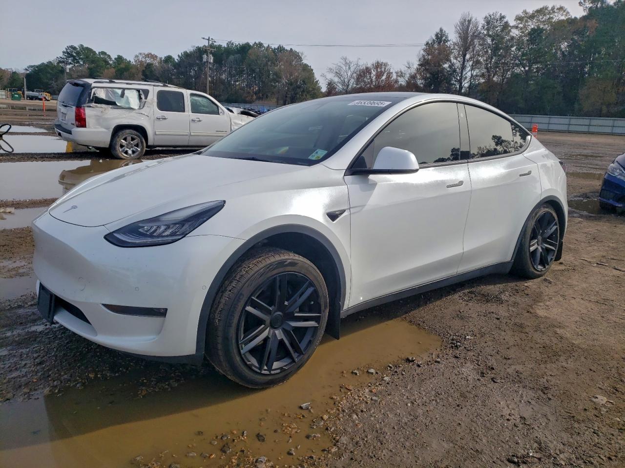 2021 TESLA MODEL Y