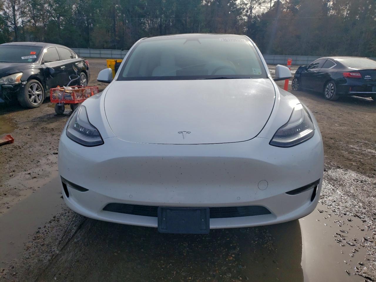 2021 TESLA MODEL Y photo 9