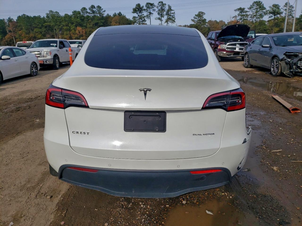 2021 TESLA MODEL Y photo 11