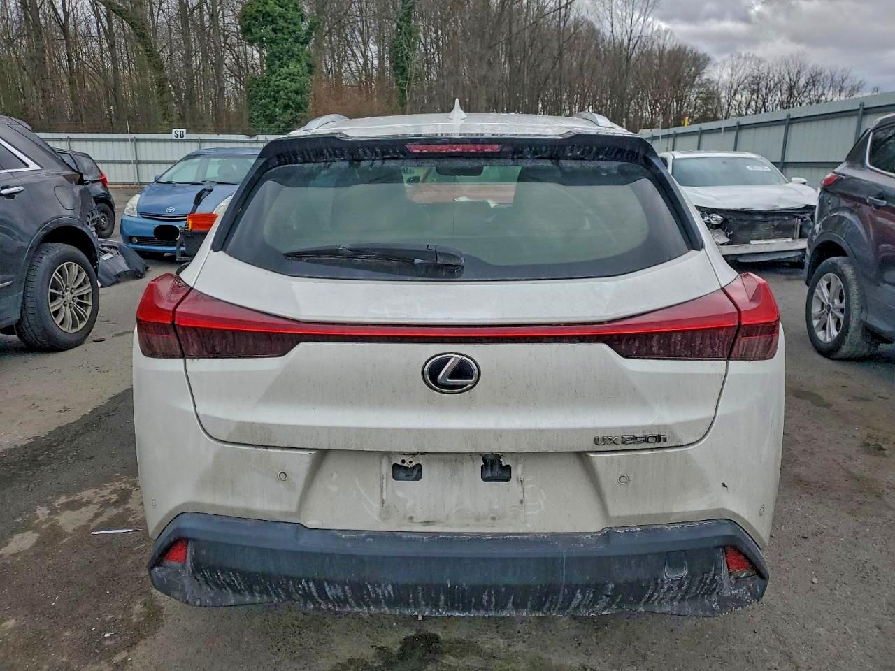 2019 LEXUS UX 250H photo 16