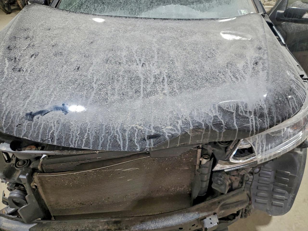 2014 KIA SORENTO LX photo 12