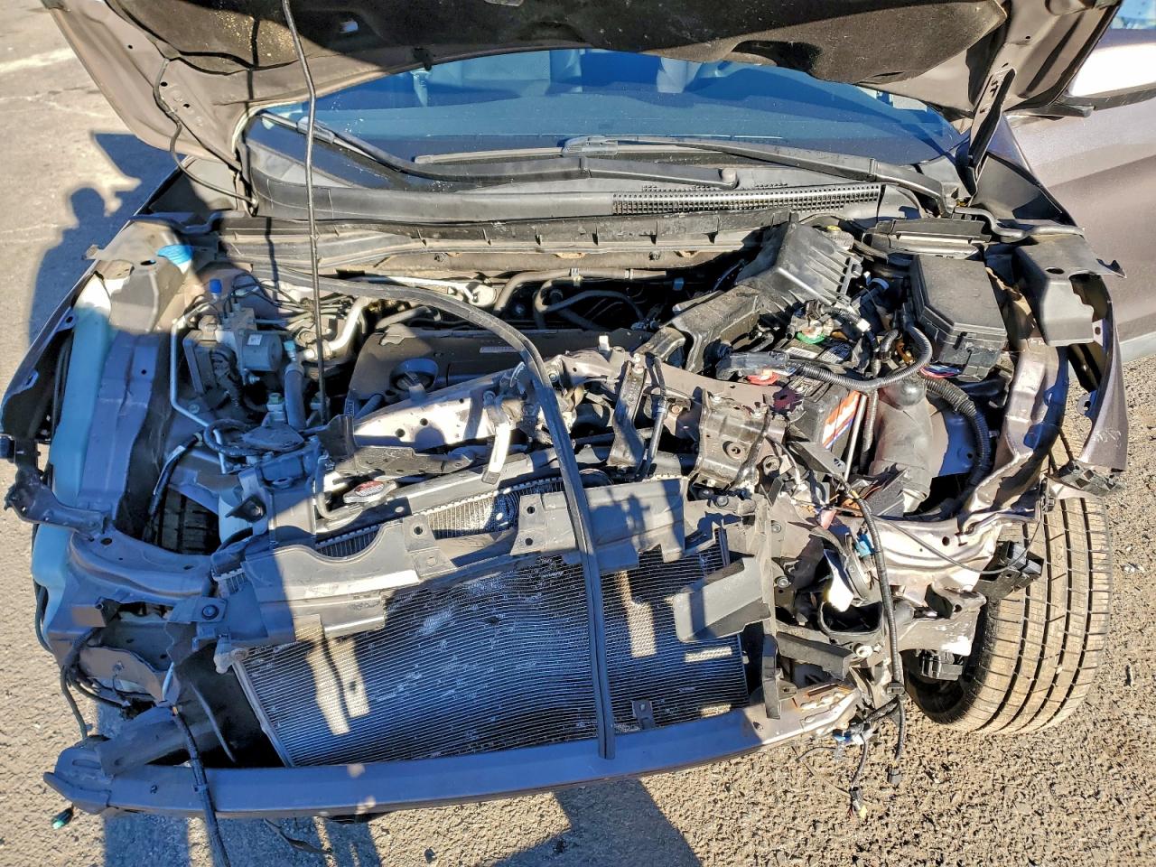 2016 HONDA CR-V EX photo 12