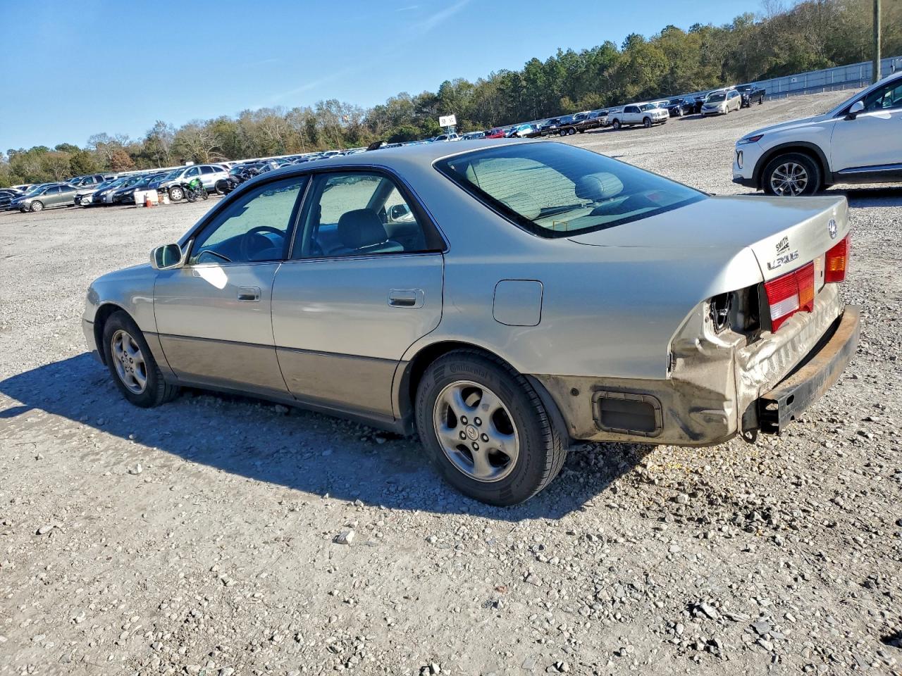 1999 LEXUS ES 300 photo 2