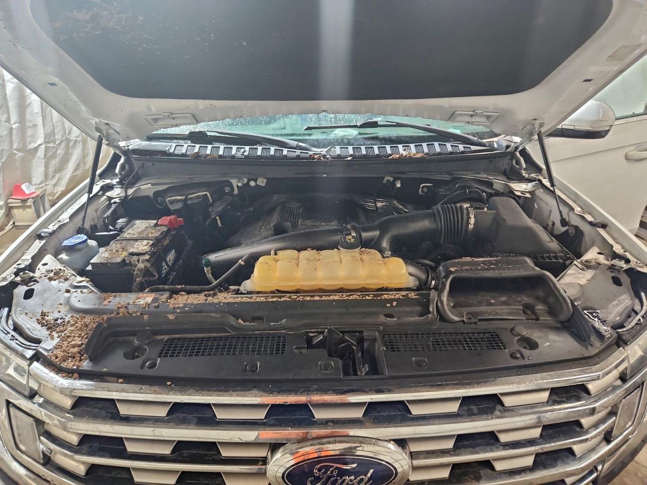 2018 FORD EXPEDITION MAX XLT photo 12