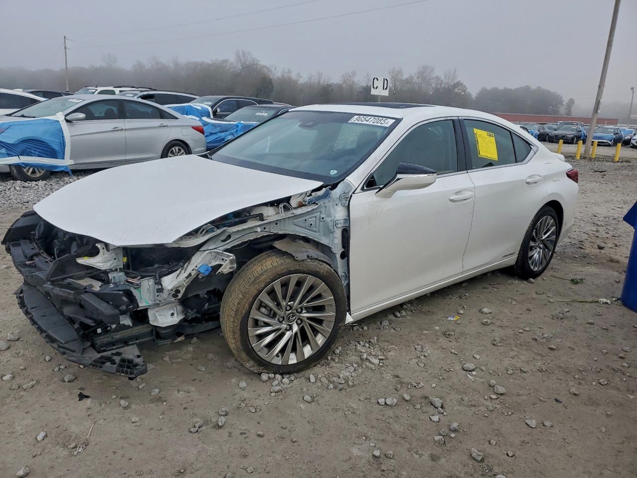 2019 LEXUS ES