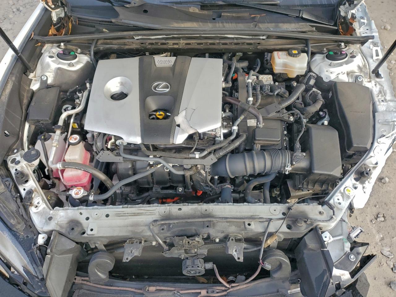 2019 LEXUS ES 300H photo 11