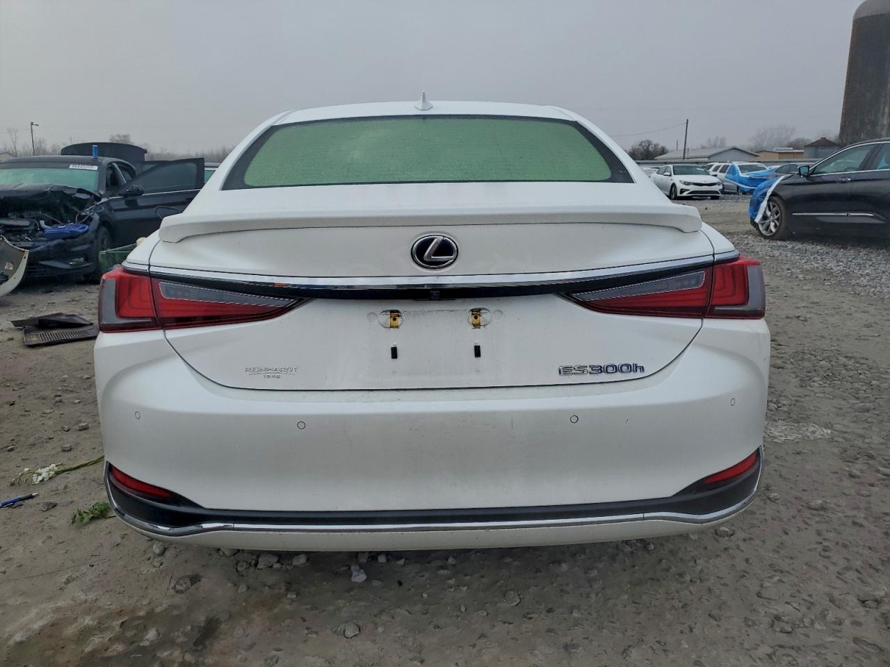 2019 LEXUS ES 300H photo 6
