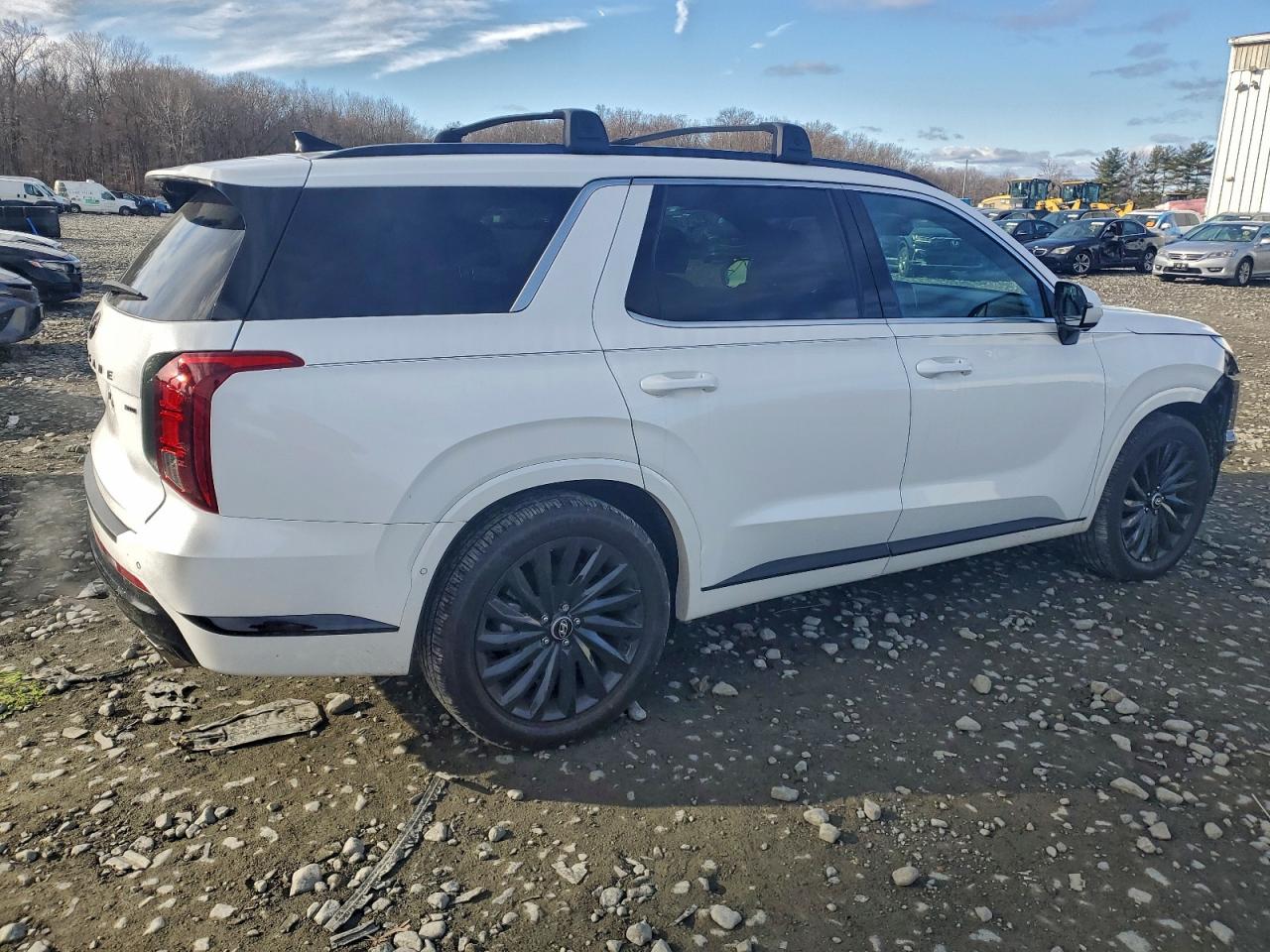 2024 HYUNDAI PALISADE CALLIGRAPHY photo 3