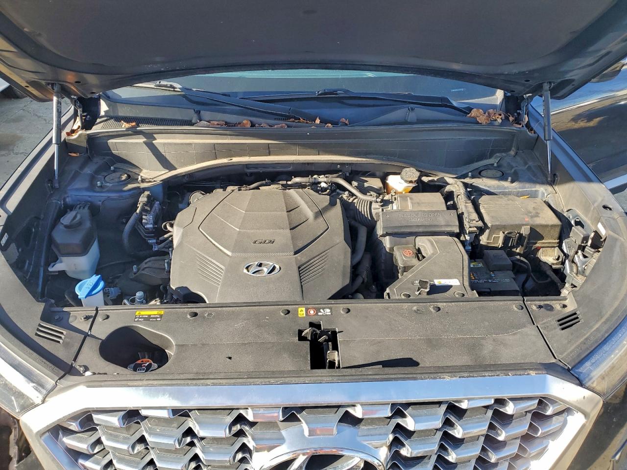 2020 HYUNDAI PALISADE SEL photo 12