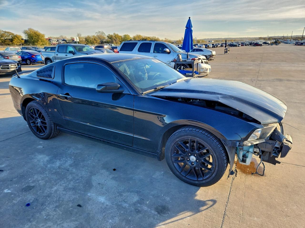 2014 FORD MUSTANG photo 4