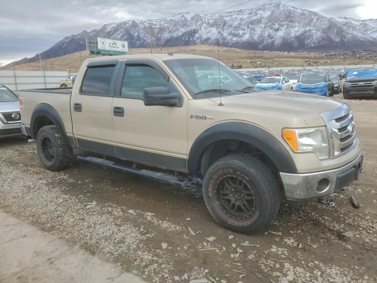 2009 FORD F150 SUPERCREW photo 4