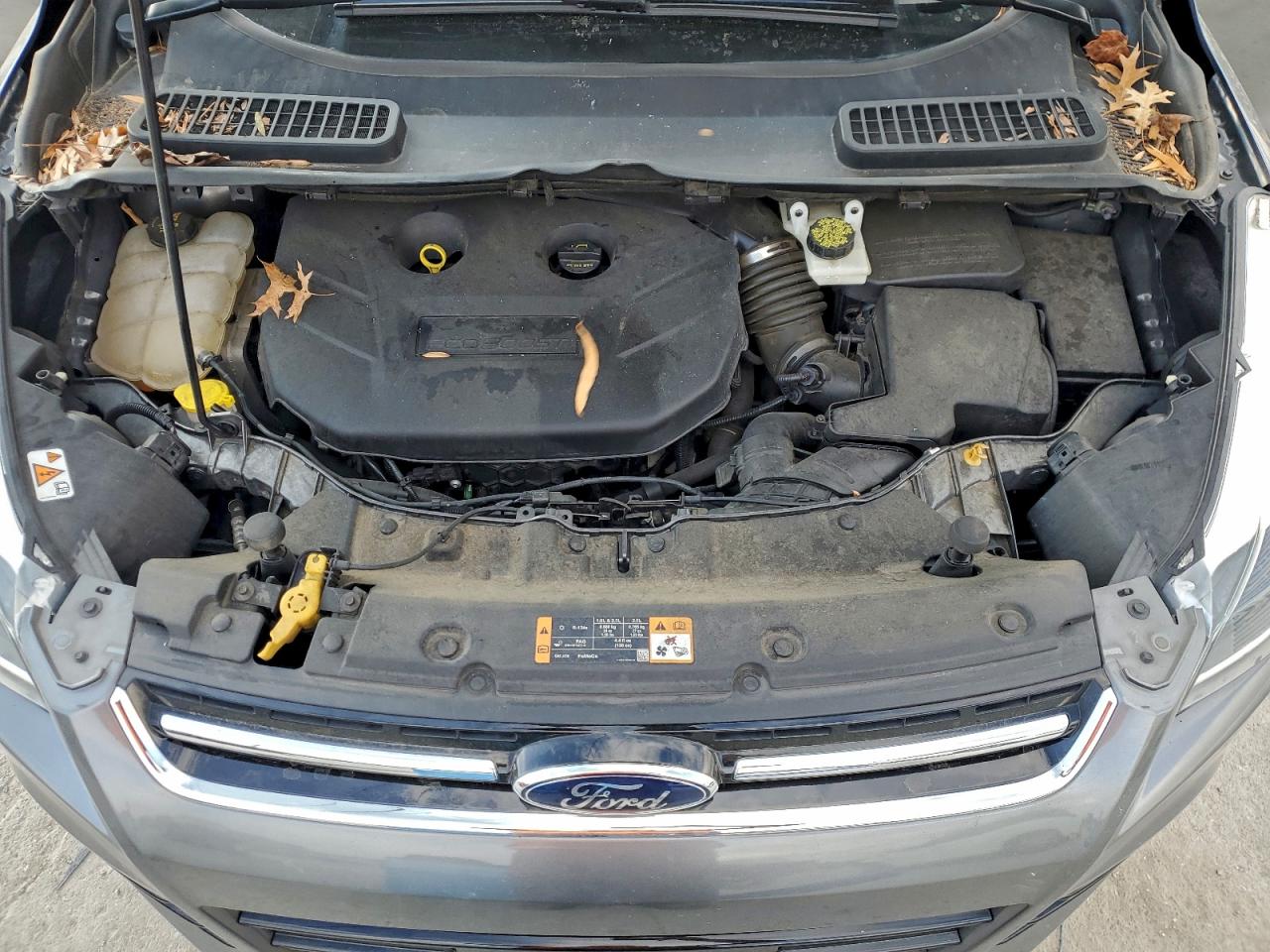 2014 FORD ESCAPE TITANIUM photo 12