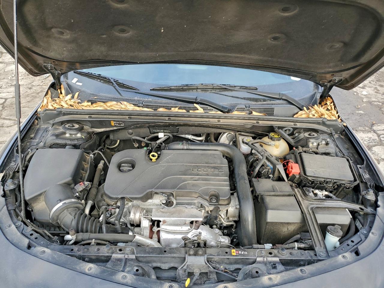 2022 CHEVROLET MALIBU LT photo 11