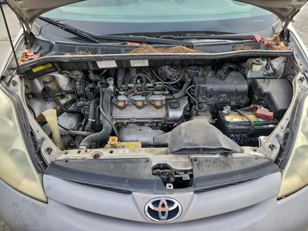 2006 TOYOTA SIENNA CE photo 12