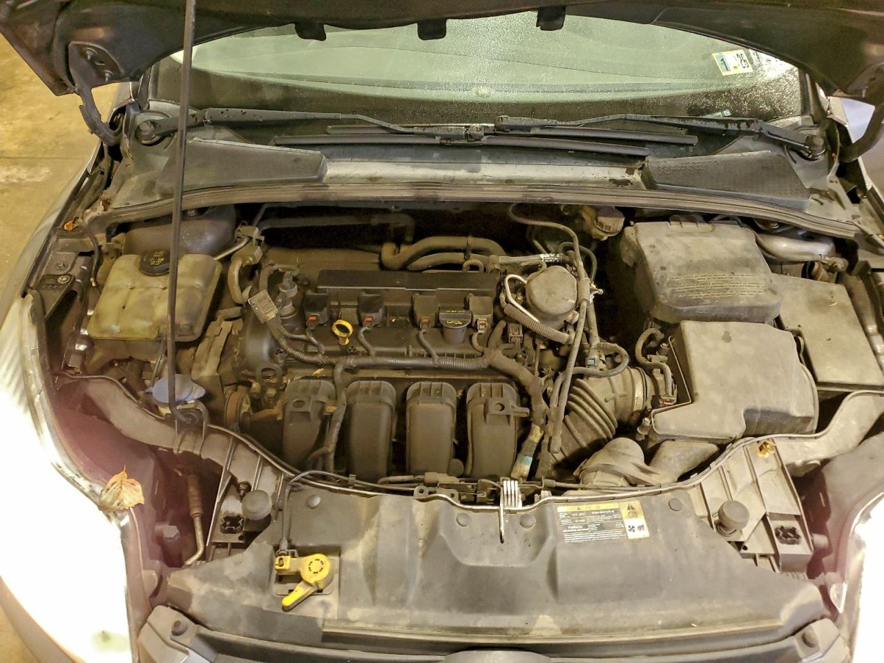 2014 FORD FOCUS SE photo 11