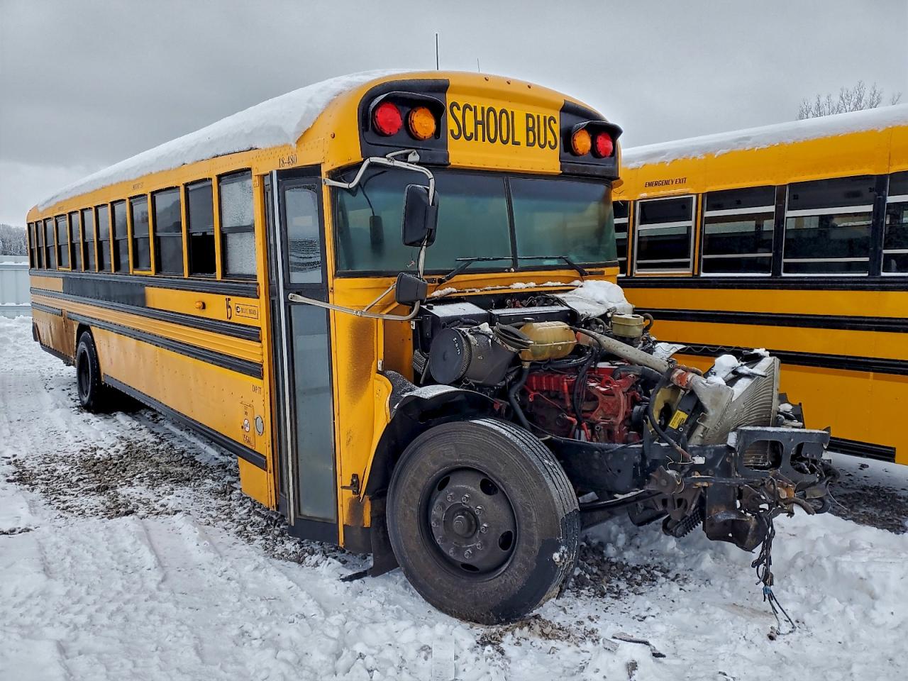 2018 BLUE BIRD SCHOOL BUS