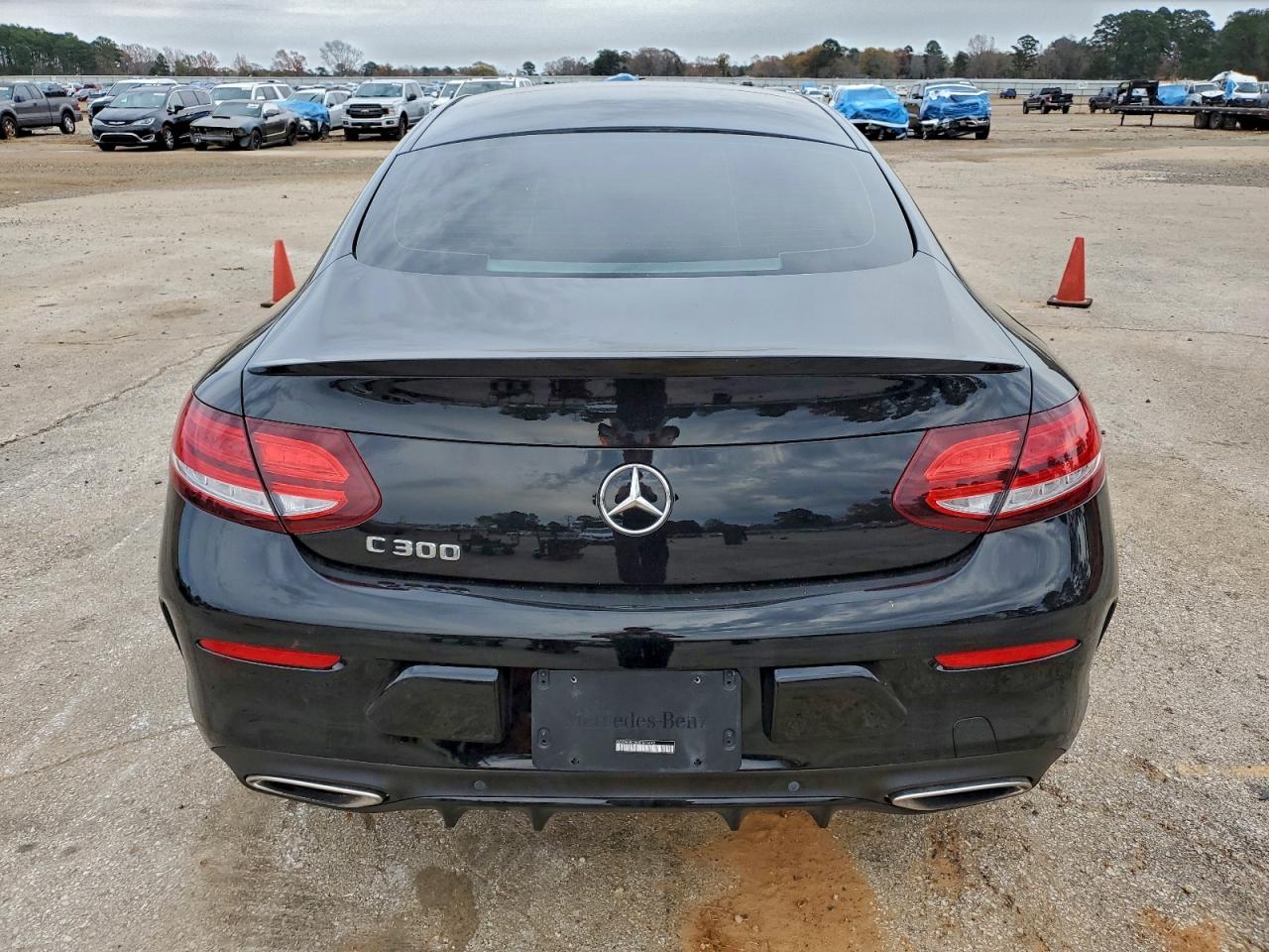 2019 MERCEDES-BENZ C 300 photo 6