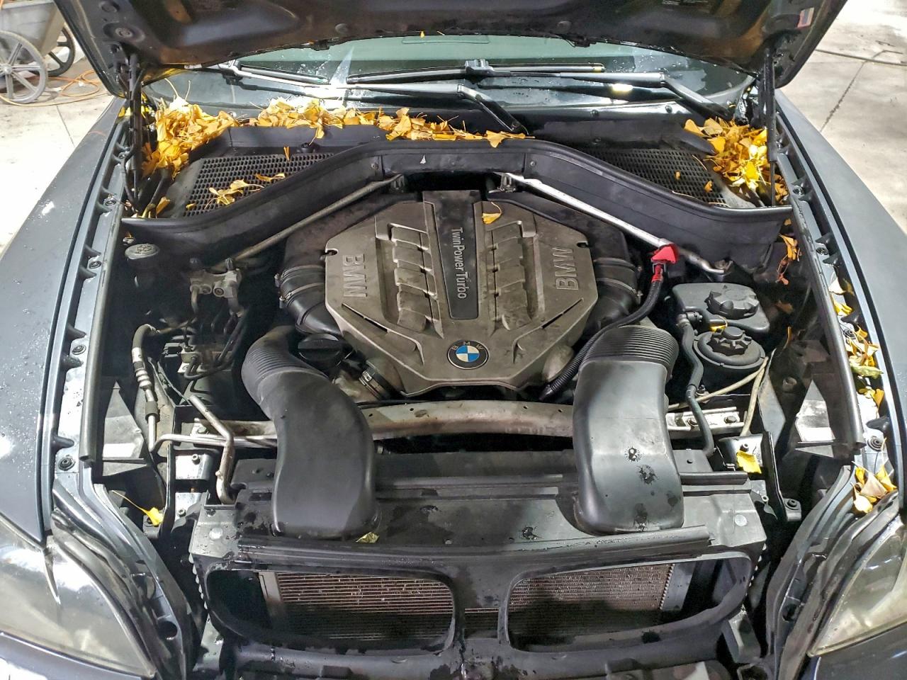 2011 BMW X5 XDRIVE50I photo 12