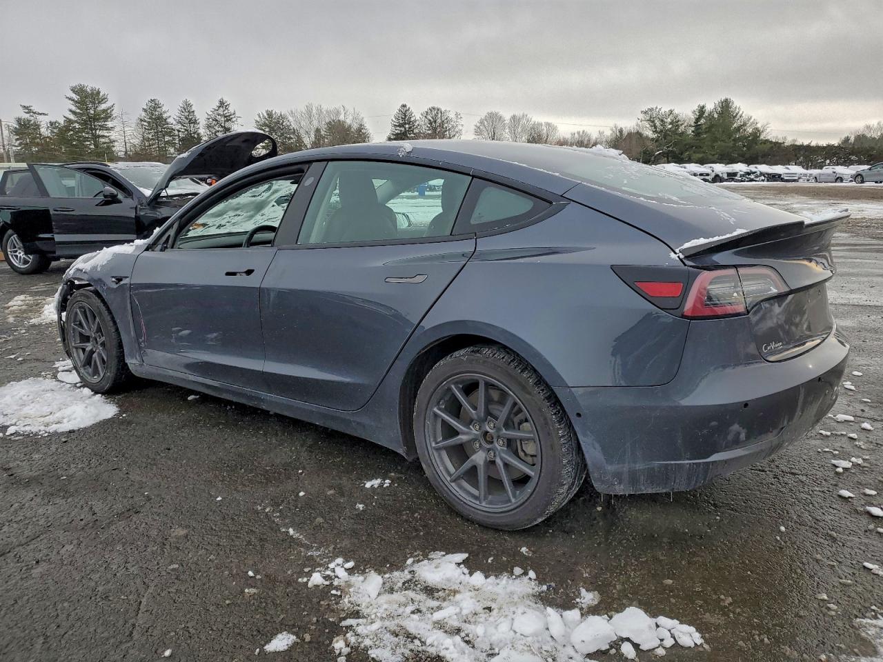 2019 TESLA MODEL 3 photo 2