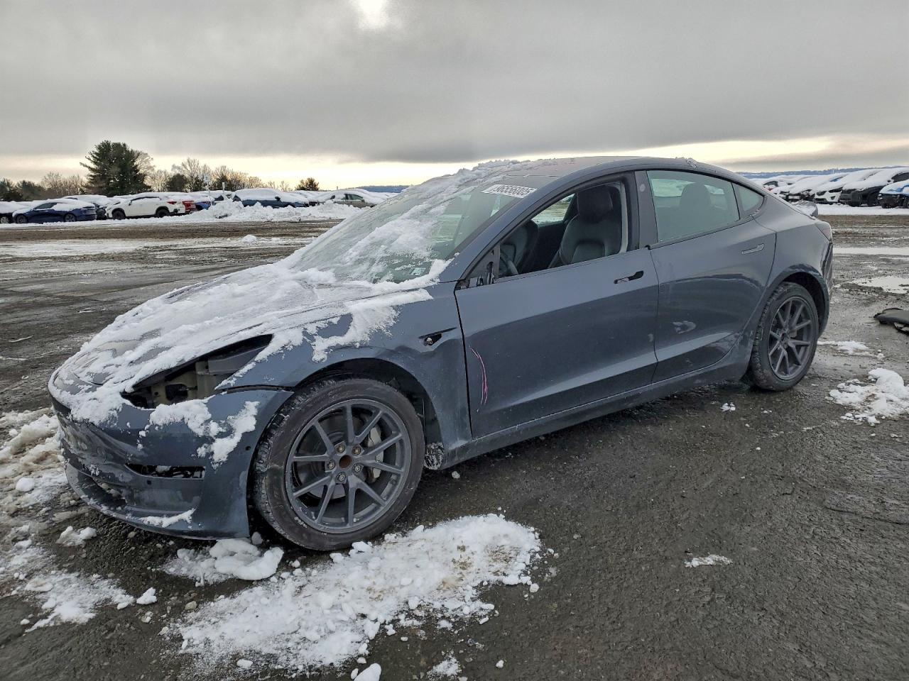 2019 TESLA MODEL 3