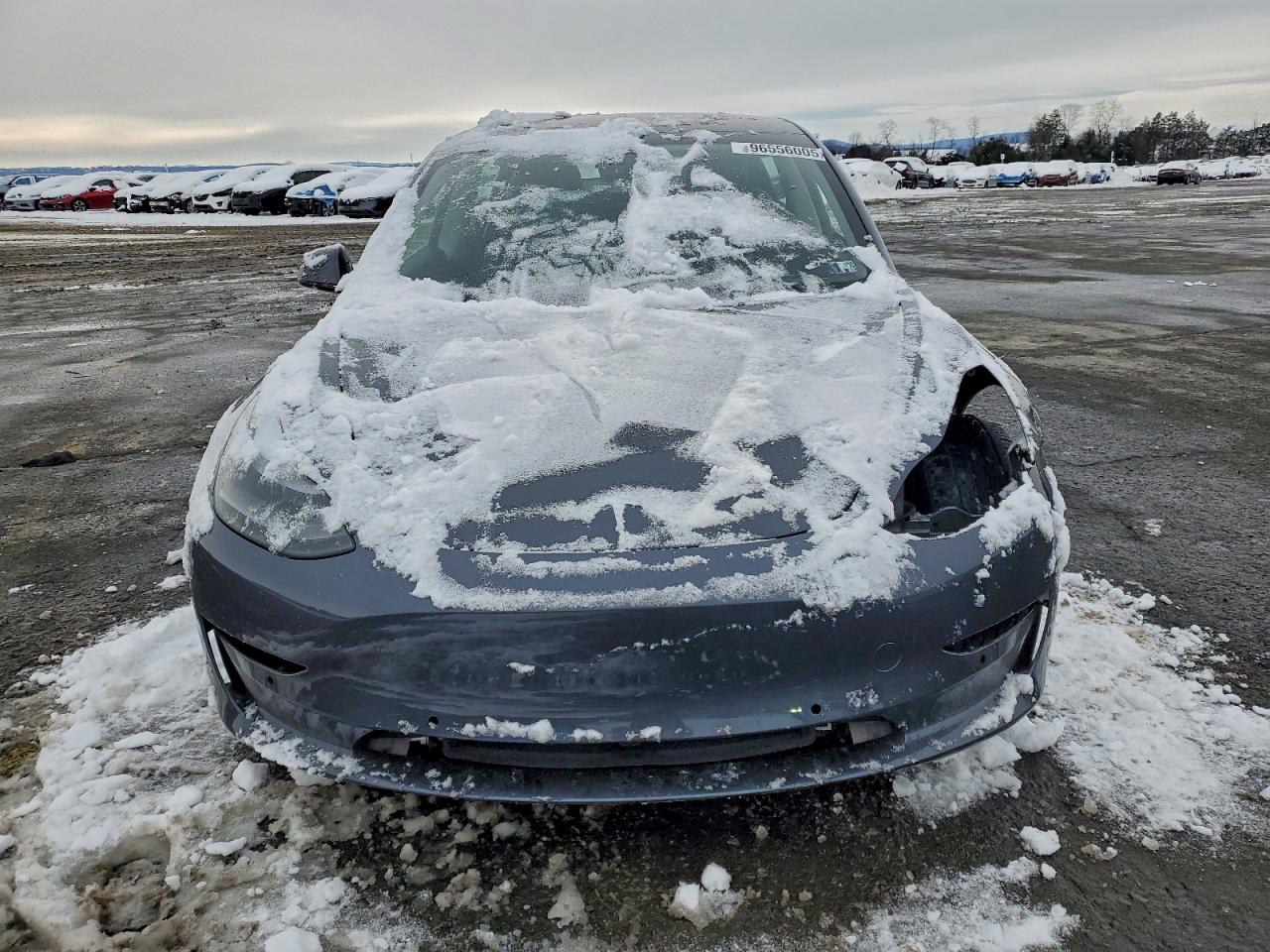 2019 TESLA MODEL 3 photo 5