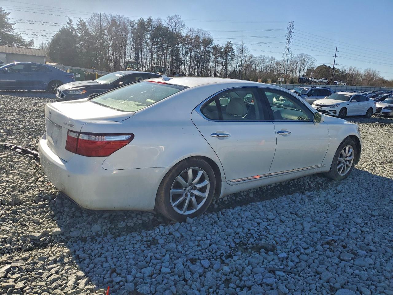 2007 LEXUS LS 460 photo 3