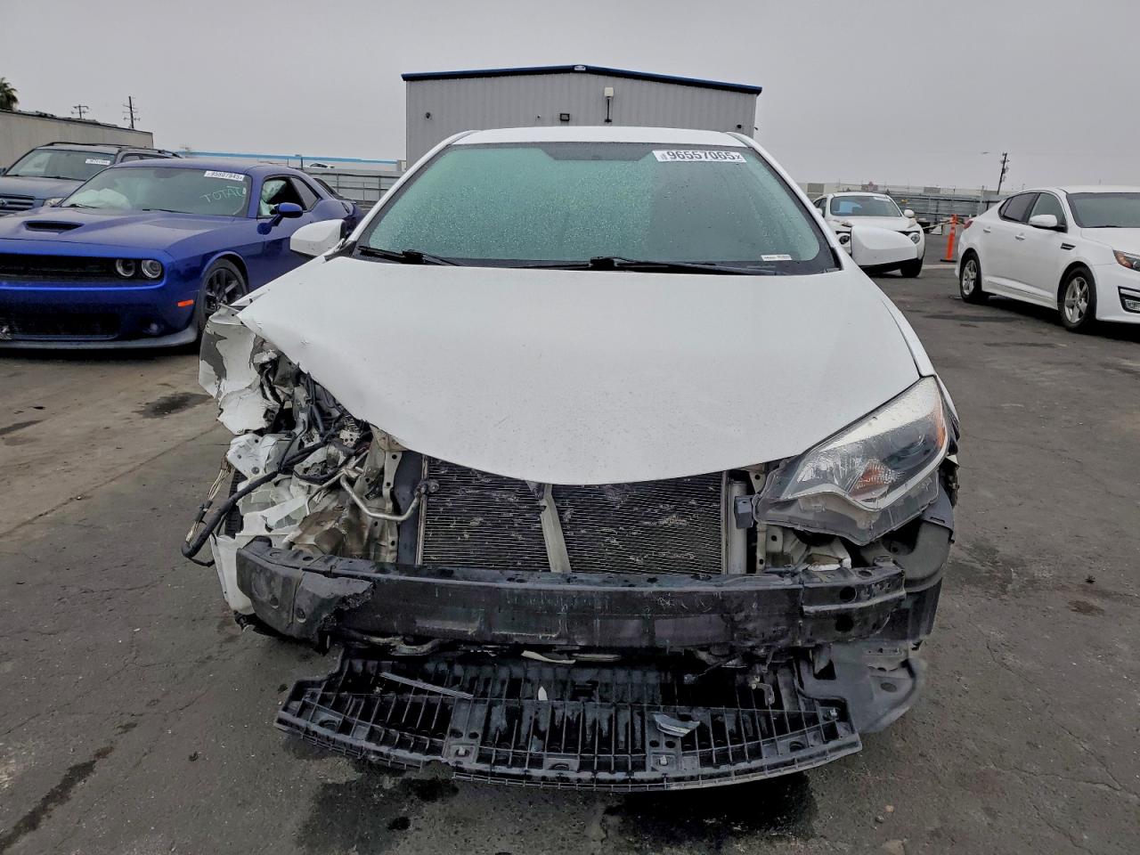 2016 TOYOTA COROLLA L photo 5