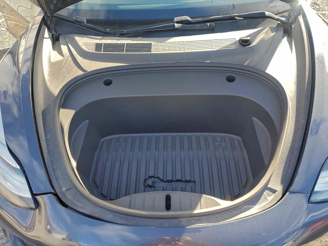 2019 TESLA MODEL 3 photo 11