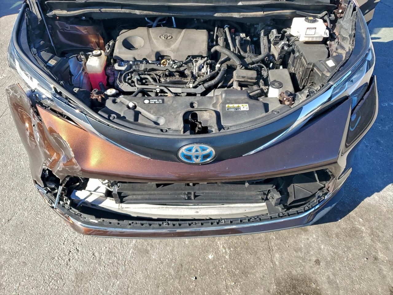 2021 TOYOTA SIENNA XLE photo 12