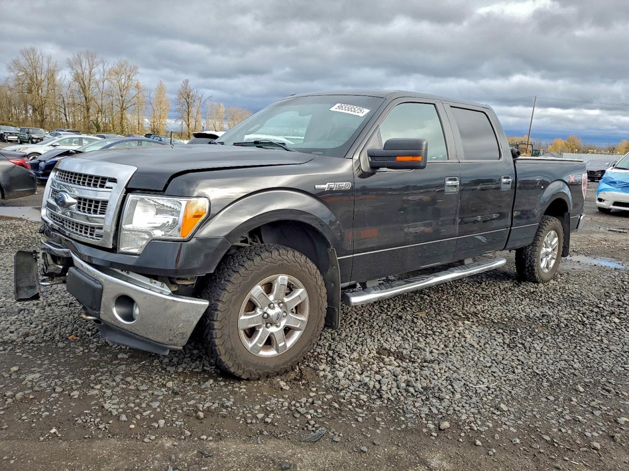 2013 FORD F150
