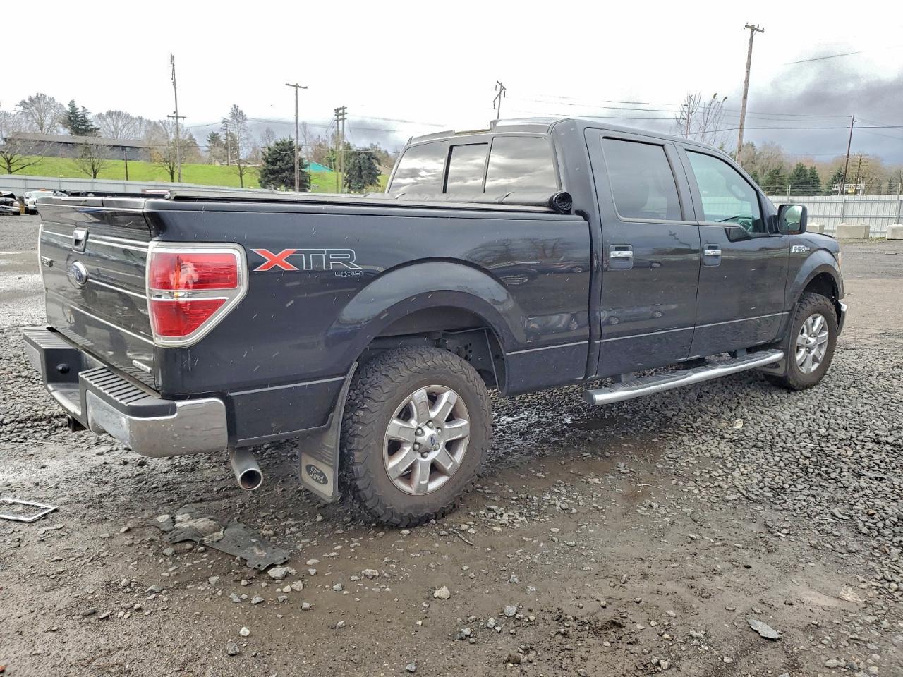 2013 FORD F150 SUPERCREW photo 3