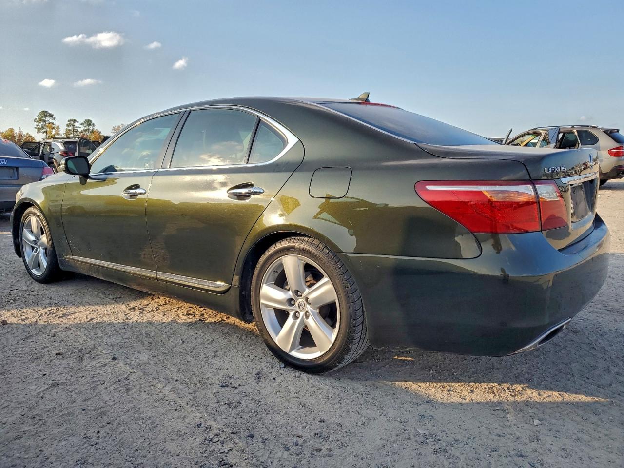 2010 LEXUS LS 460 photo 2