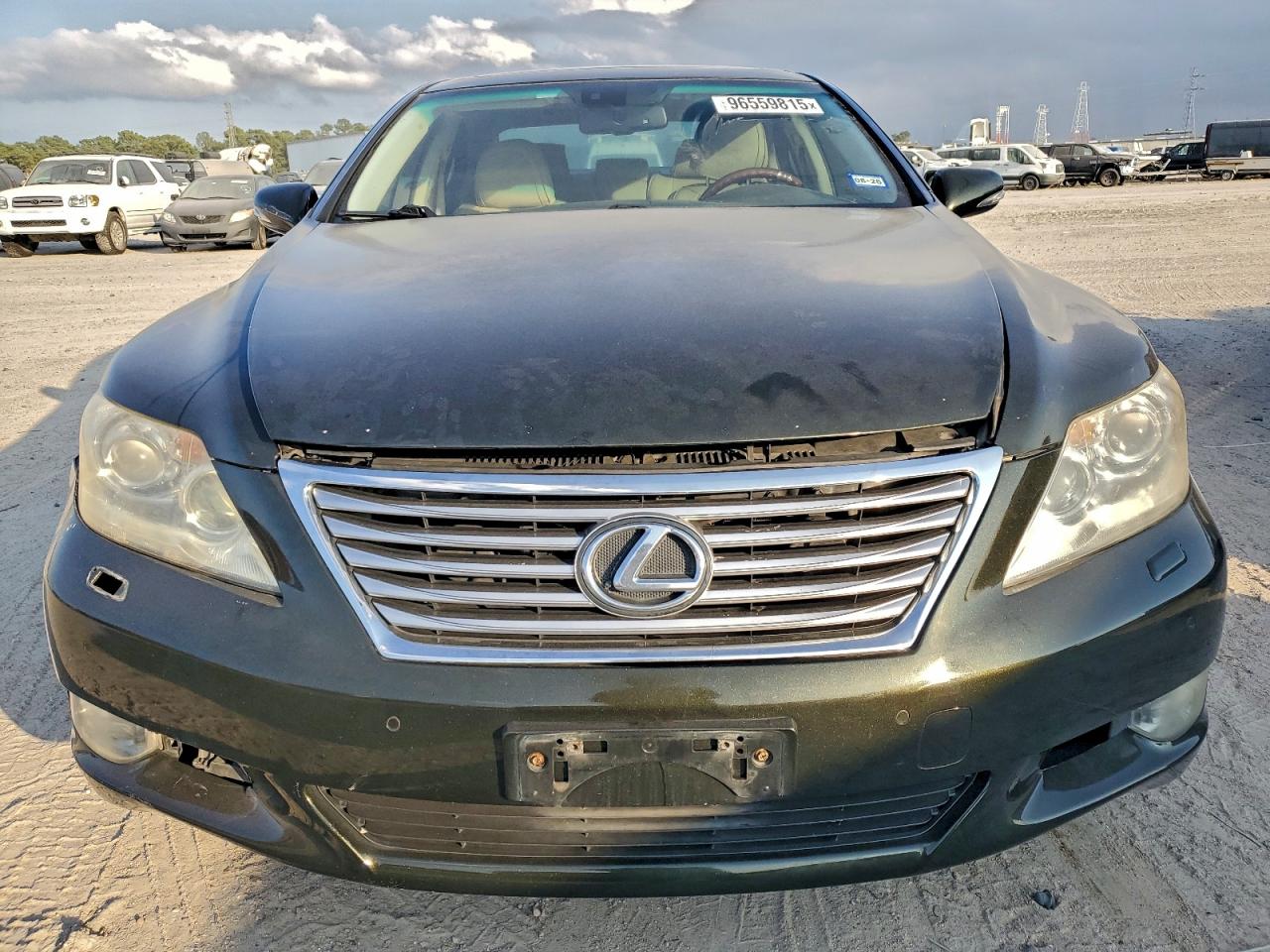 2010 LEXUS LS 460 photo 5