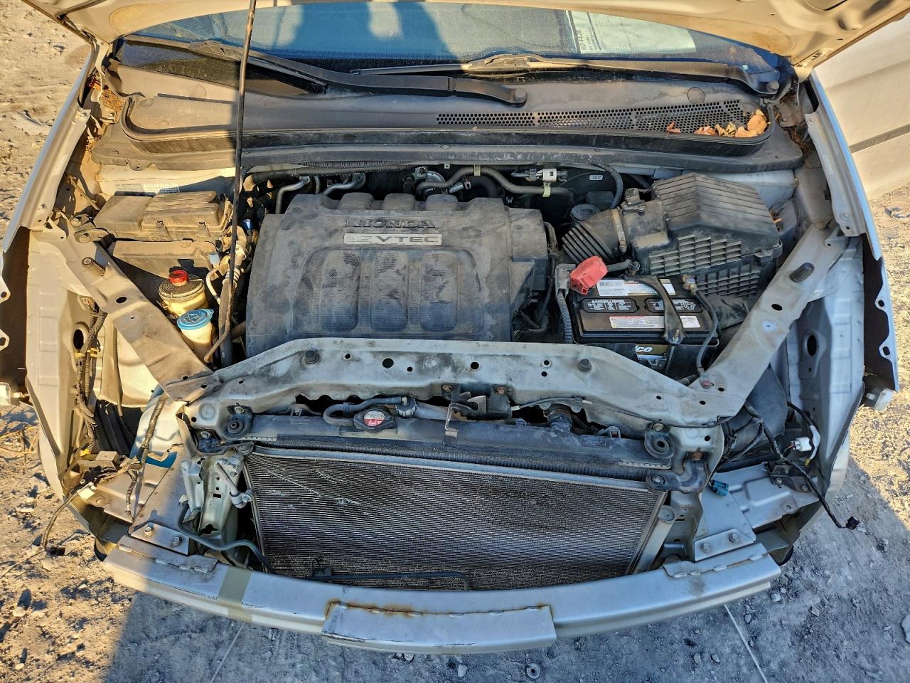 2010 HONDA ODYSSEY LX photo 12